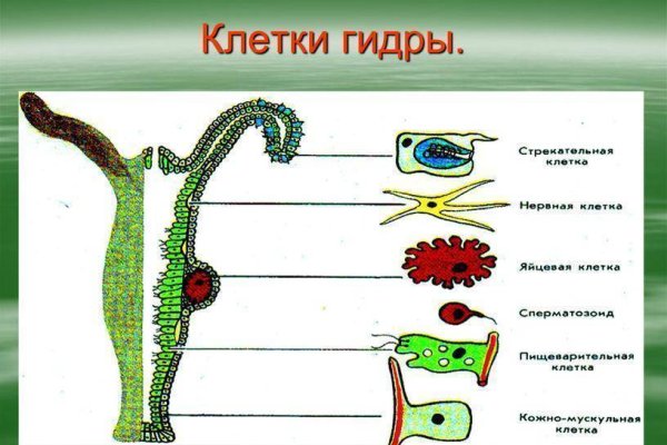 Как выводить деньги с кракена
