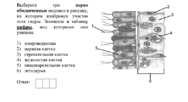 Сайт krn