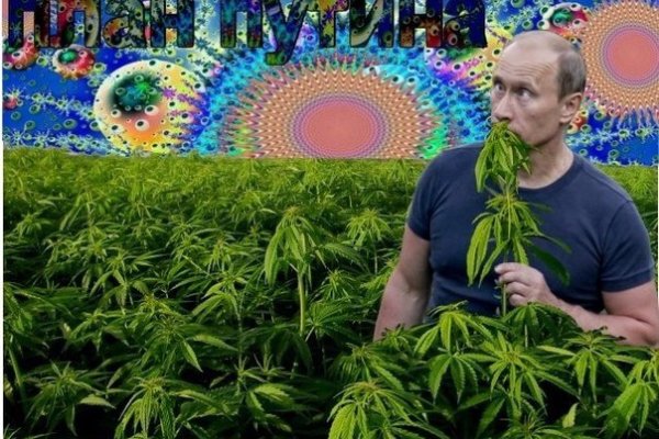 Кракен даркнет площадка