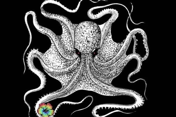 Kraken mirror