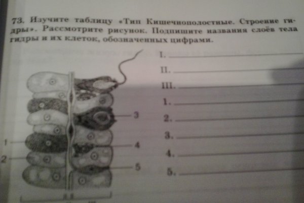 Кракен zerkalo pw